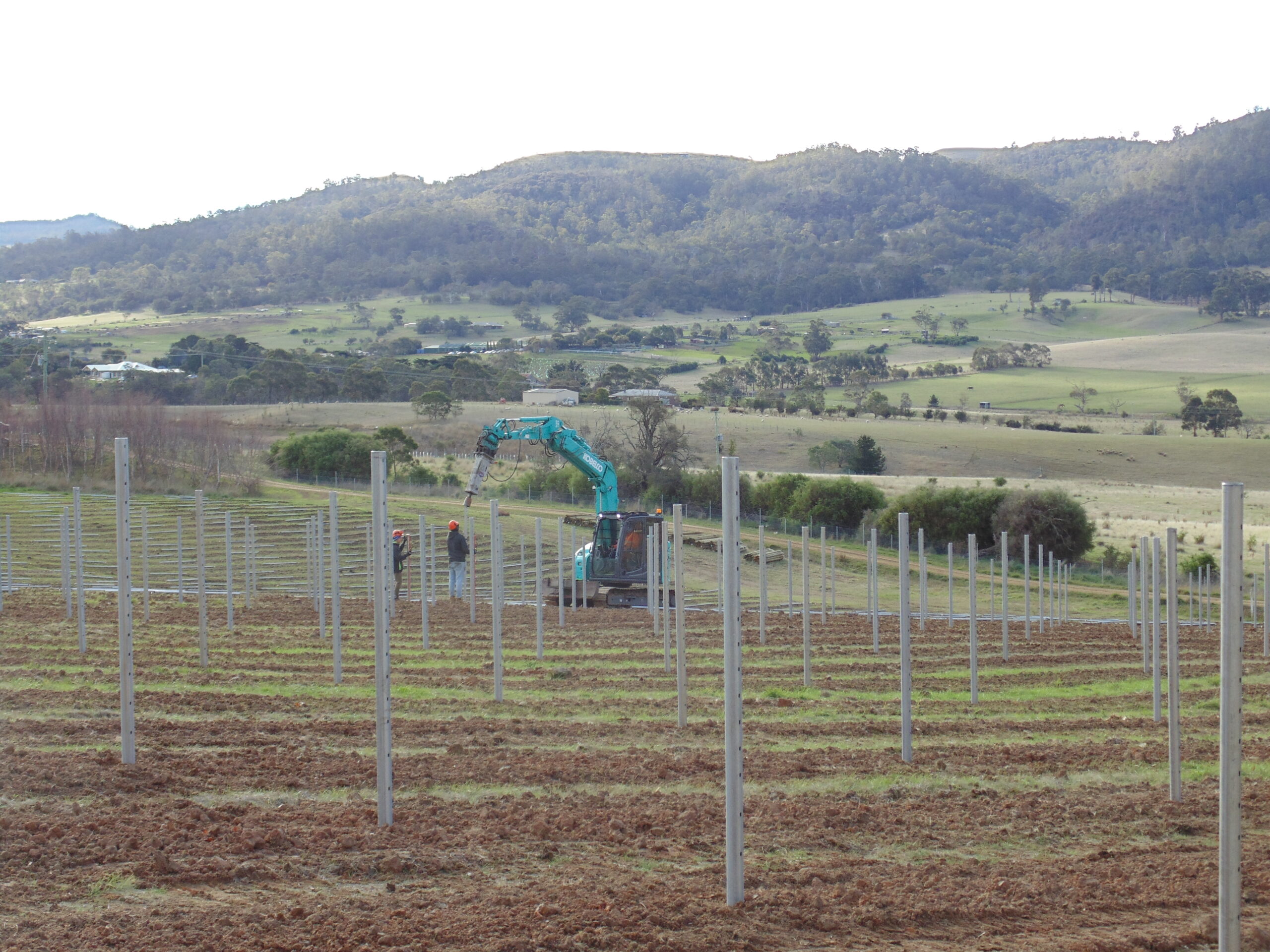 DSC01434-3.jpg Cover Image