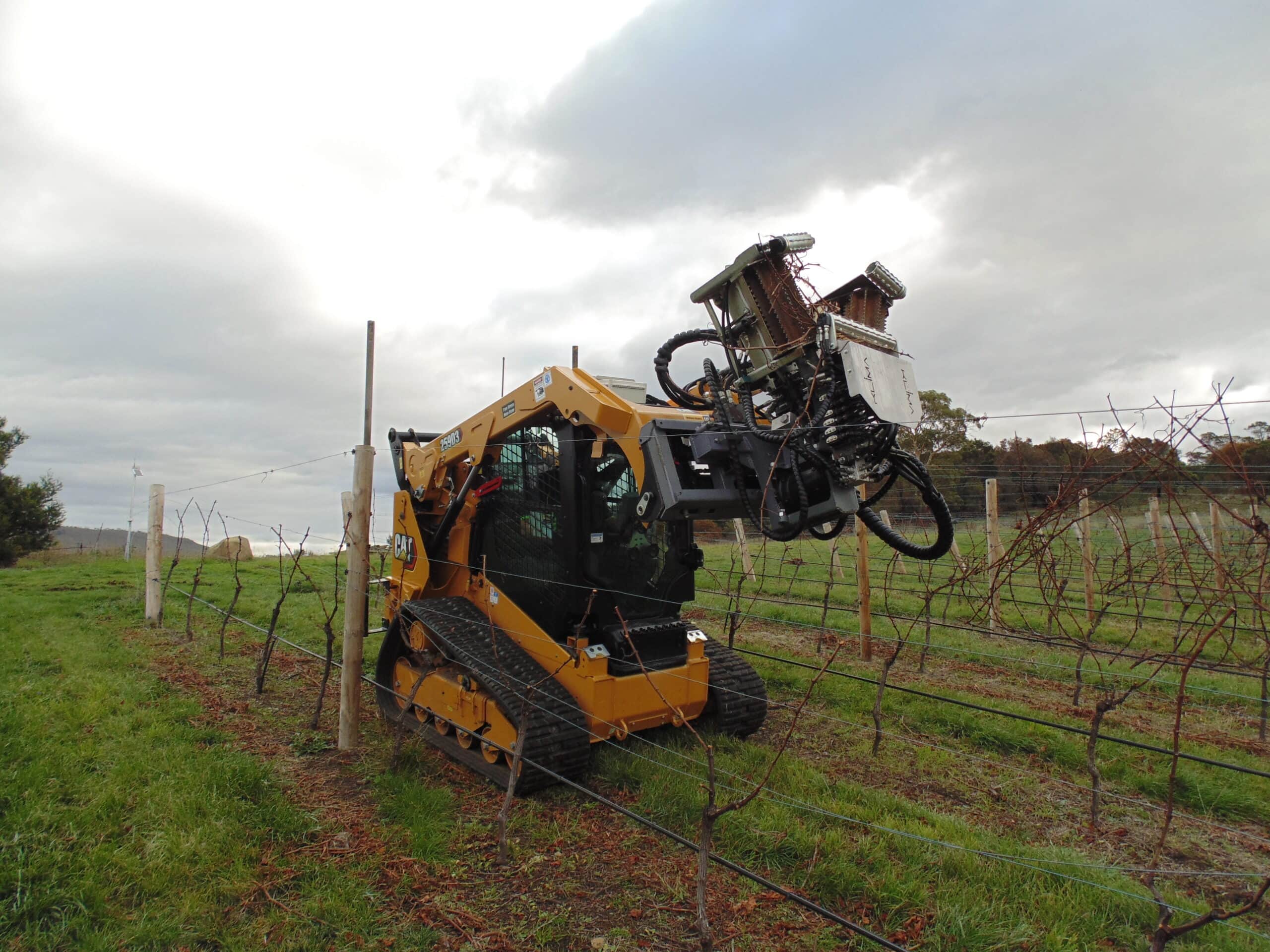 DSC01451-1.jpg Cover Image