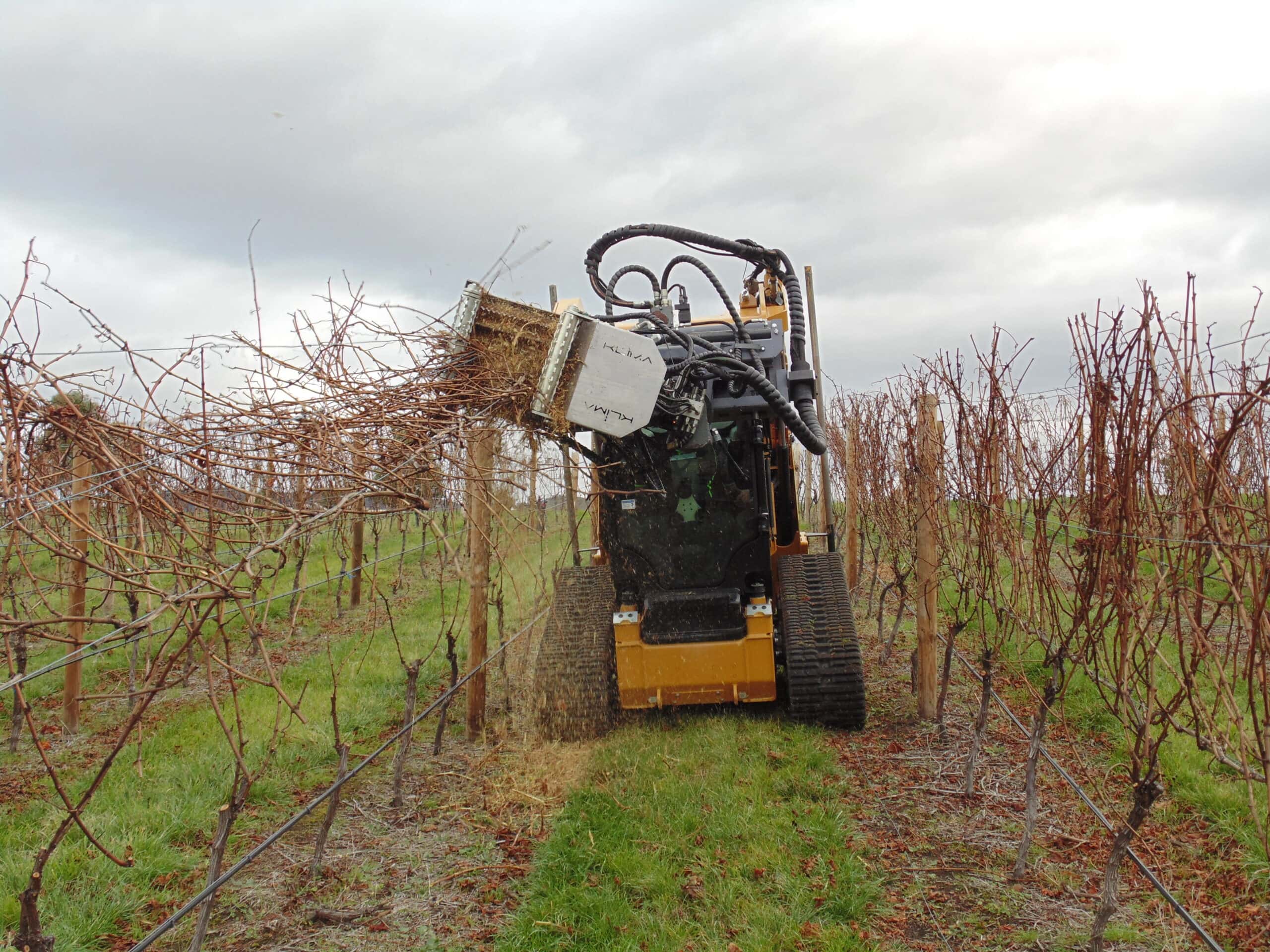 DSC01465 Cover Image